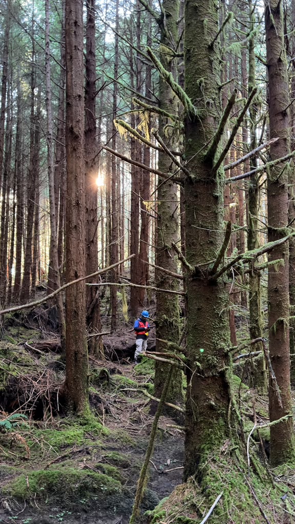 Community Forestry Workshop
